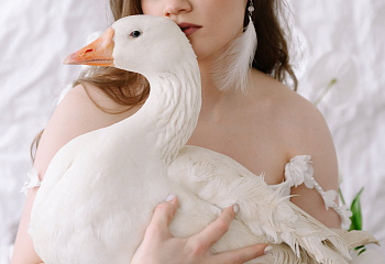 Абонемент на 7 курсов фотошколы