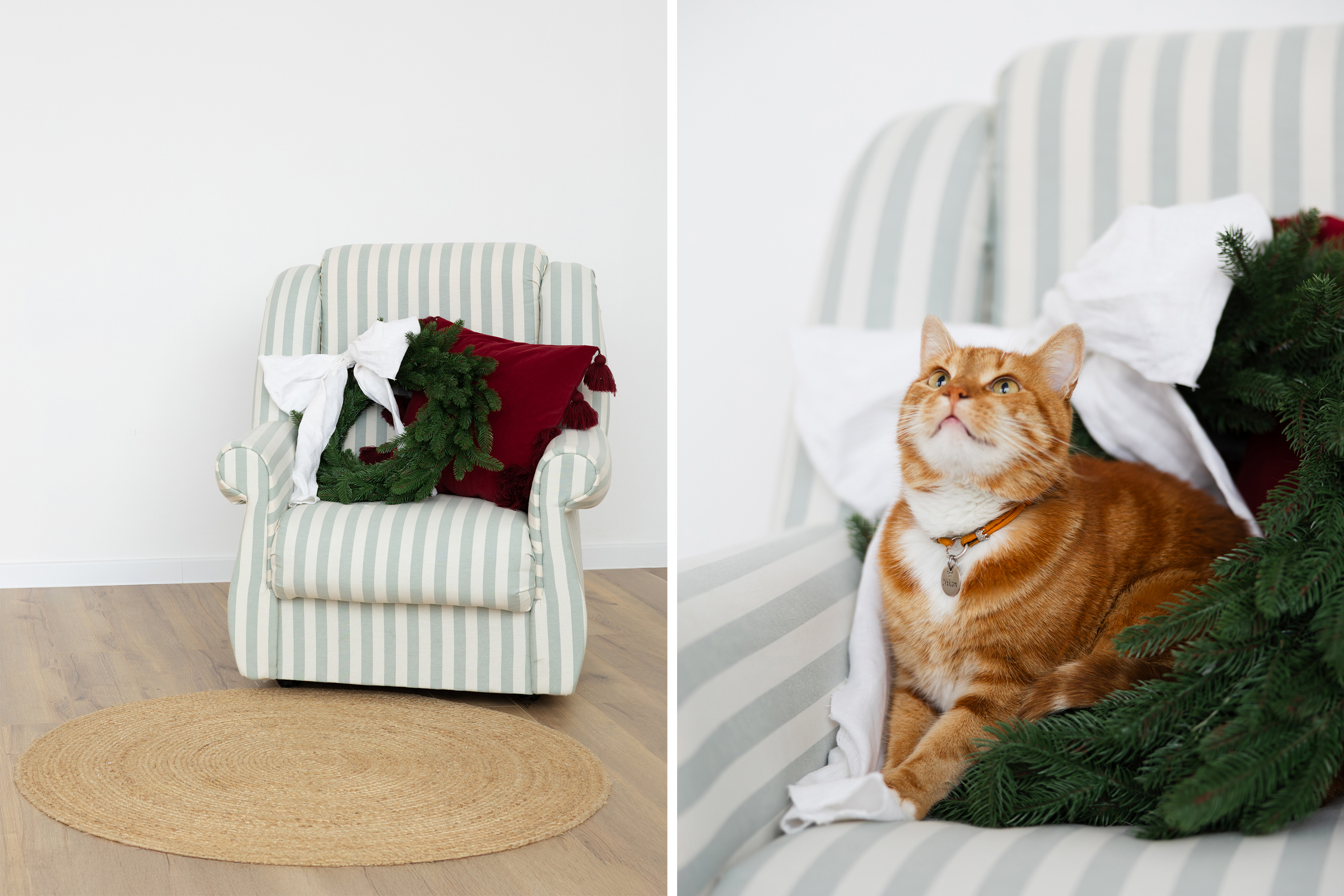 Загруженное изображение