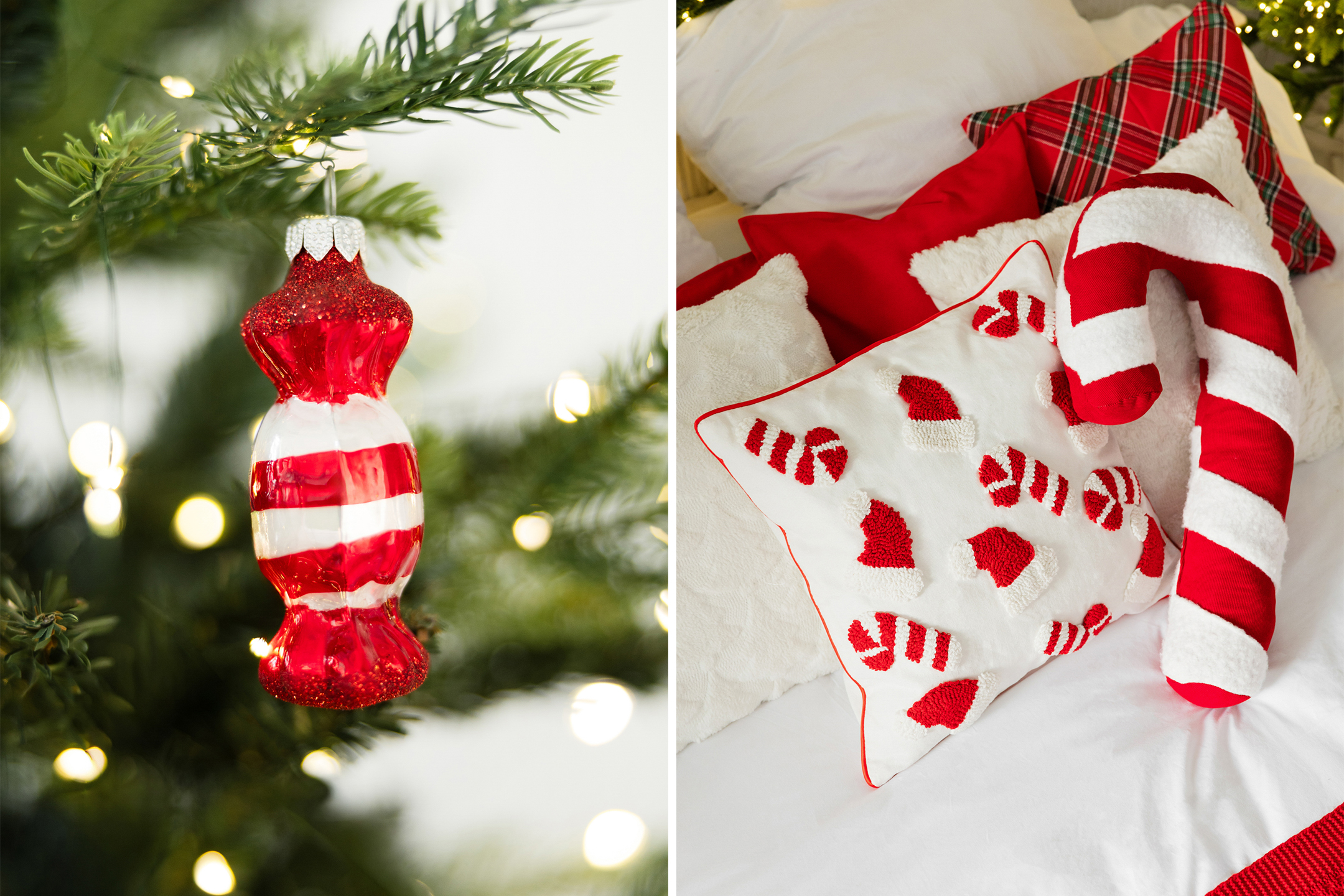 Загруженное изображение