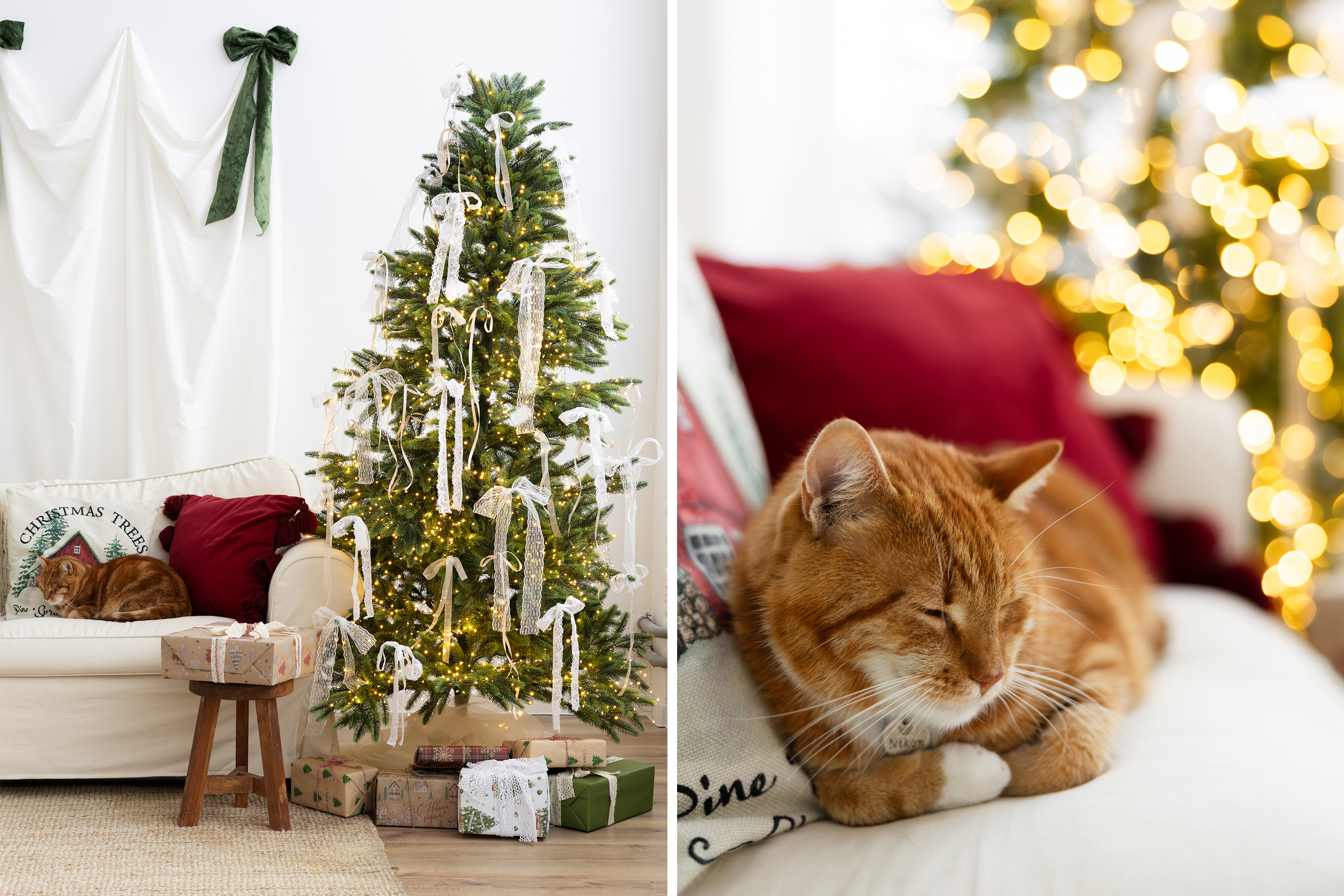 Загруженное изображение