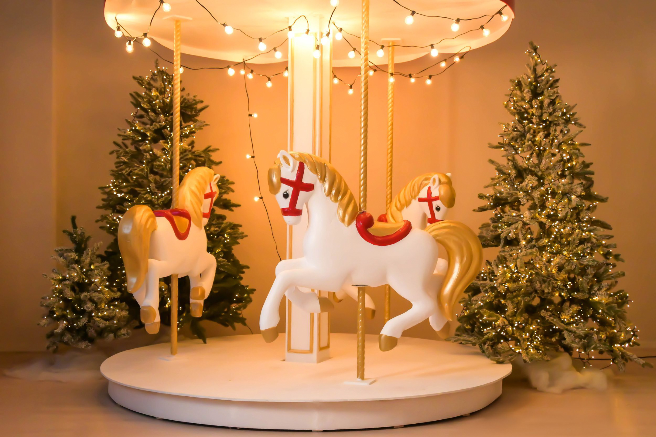 Загруженное изображение